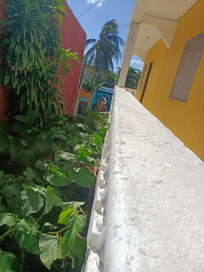 Tucan Playa del Carmen Luaran gambar